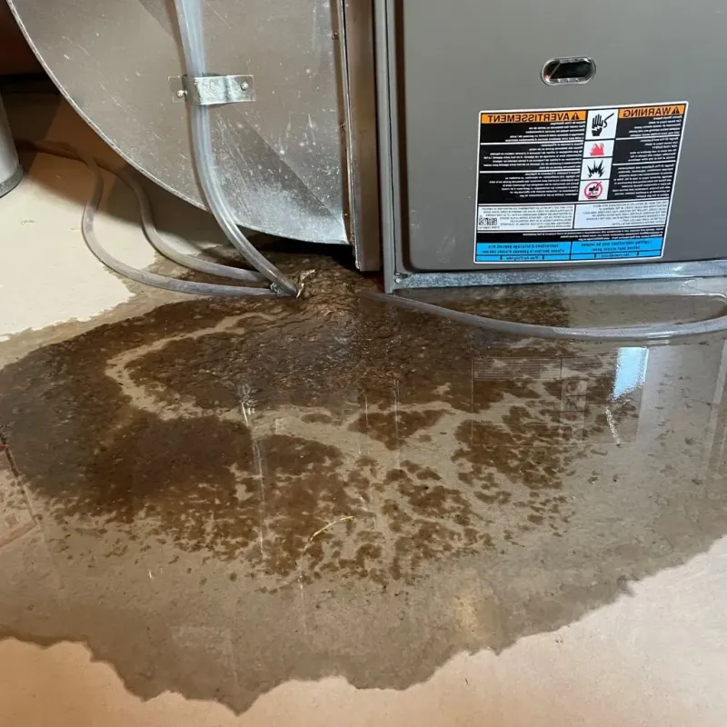 Pipe Burst and Leak Restoration in Woodbury, CT
