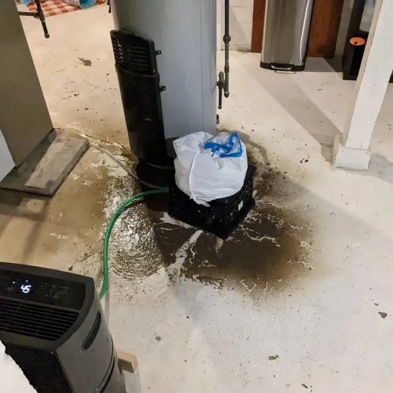 Sewage Backup Cleanup Service in Woodbury, CT